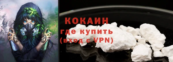 шишки Белоозёрский