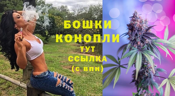 Альфа ПВП Беломорск