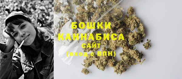 шишки Белоозёрский