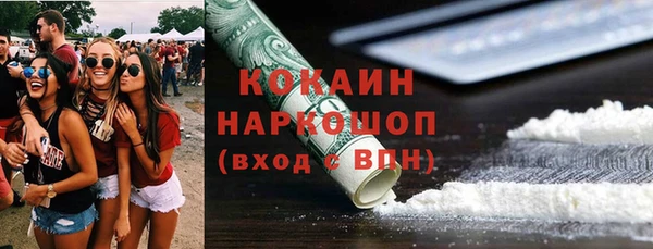 шишки Белоозёрский