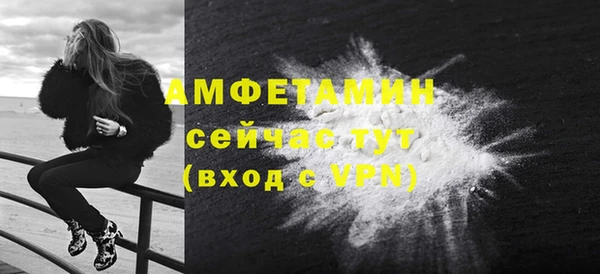 шишки Белоозёрский
