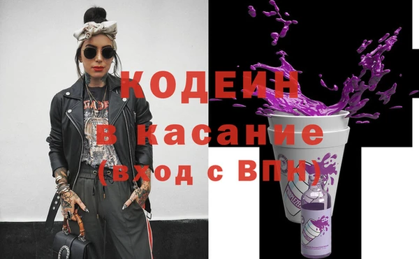 шишки Белоозёрский