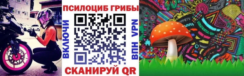 цены наркотик  Дагестанские Огни  Псилоцибиновые грибы прущие грибы 