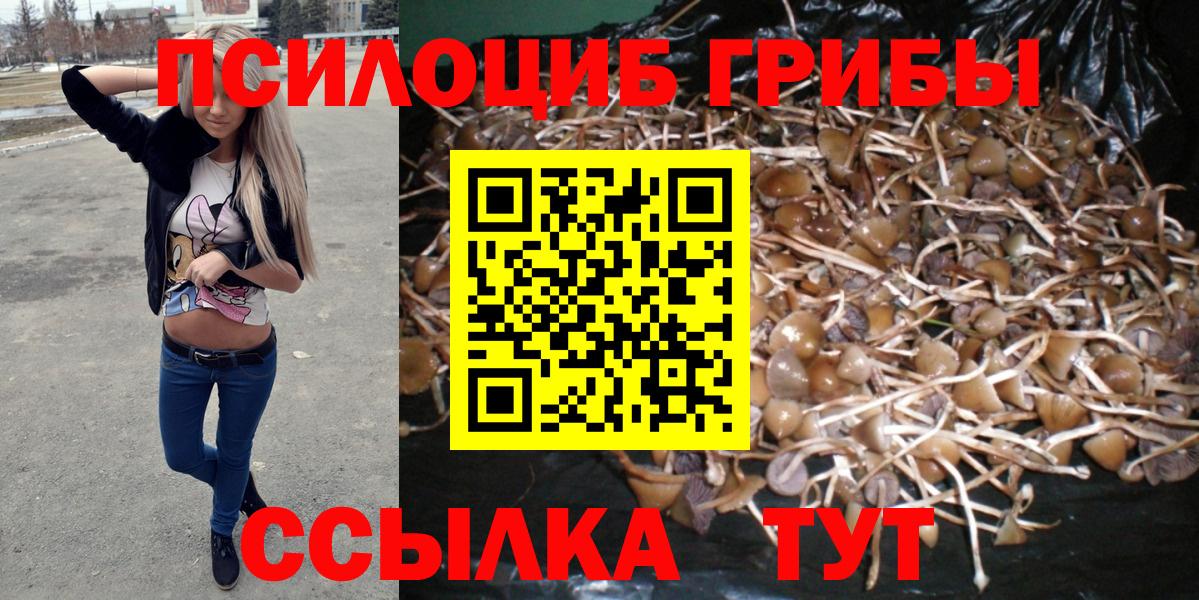 Псилоцибиновые грибы ЛСД  Вход с VPN  Дагестанские Огни 