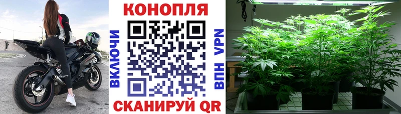 kraken ссылки  Дагестанские Огни  Марихуана марихуана  дарнет шоп 